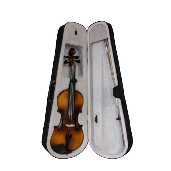 Viola Vaceado de Arce - Image 2
