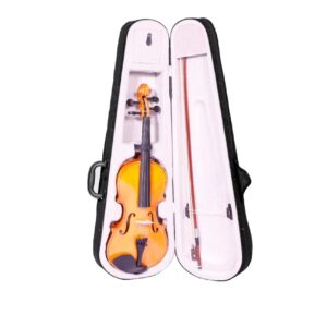 Violín Principiantes 3/4