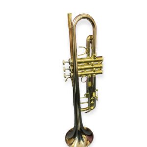 Trompeta fina plata con dorado