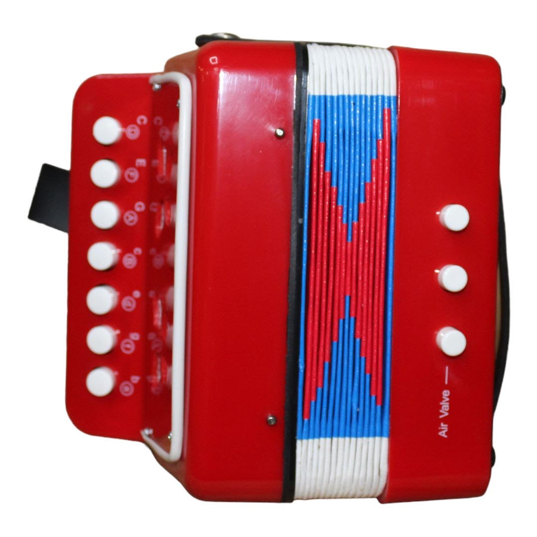 Acordeon infantil botones chico