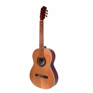 Guitarra Clásica G40 y Funda de Regalo